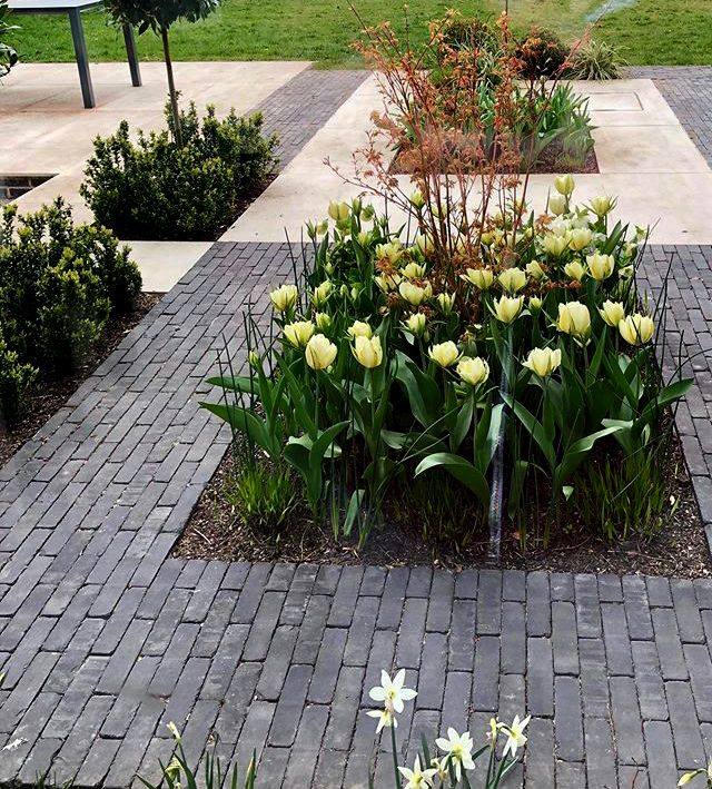 Clay pavers make the perfect complement to vibrant planting. 