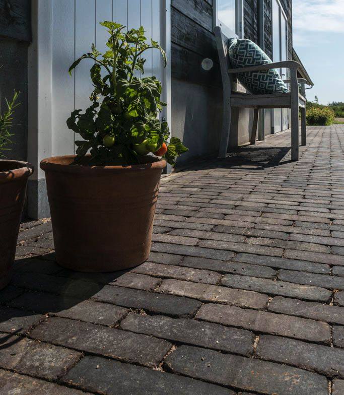 Our Moderna Clay Pavers are perfect for creating a charming, traditional feel in your garden. Paired with terracotta planters and a wooden bench. 